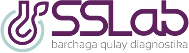 SSLab
